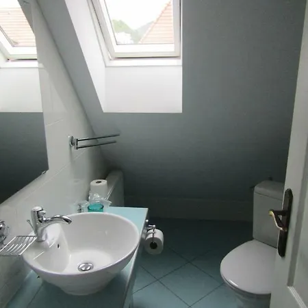 Guest house Blue House Brasov
